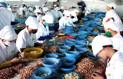 Pengolahan Hasil Pertanian Dalam Agribisnis