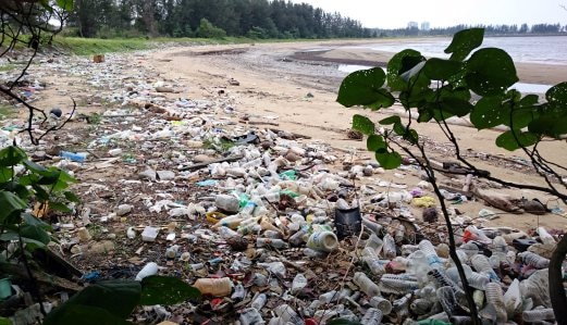 pendapat tentang sampah plastik