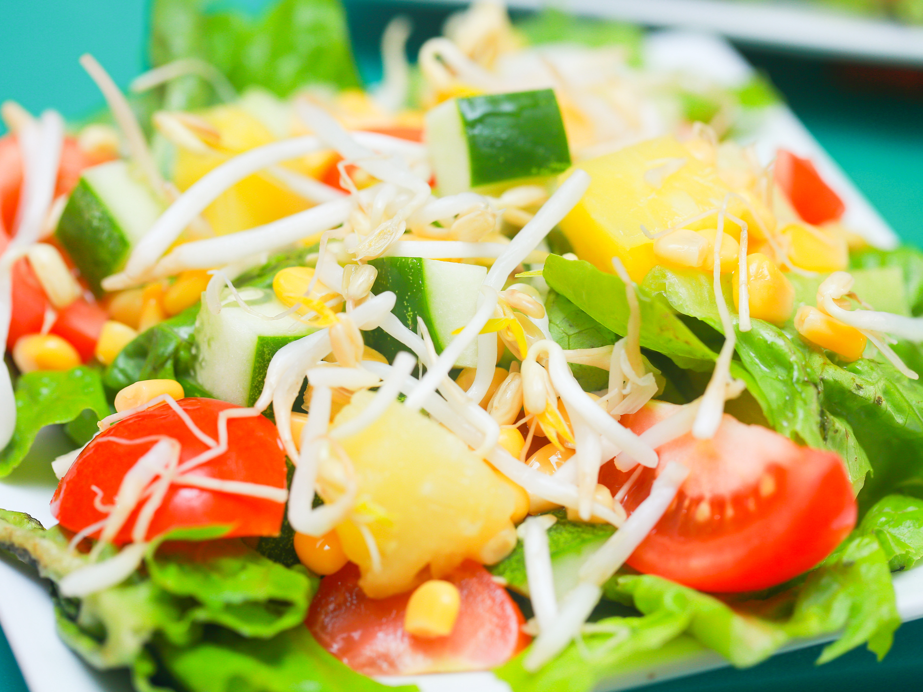 Resep Salad Sayur Untuk Diet
