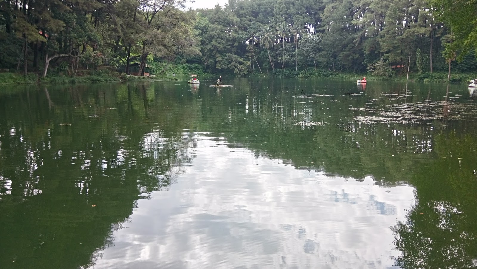 Wisata alam telaga remis Cirebon Jawa Barat