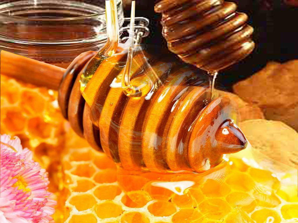 cara menguji madu asli