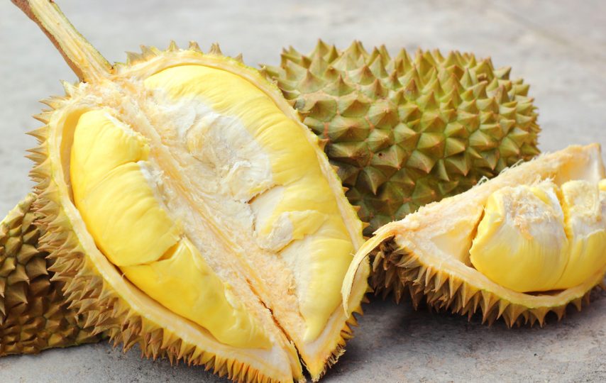 resep selai durian kw