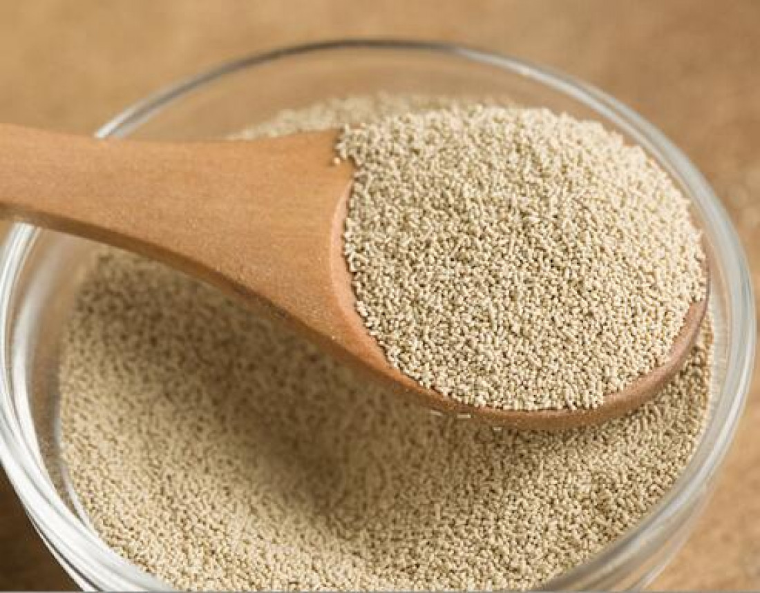 Ragi