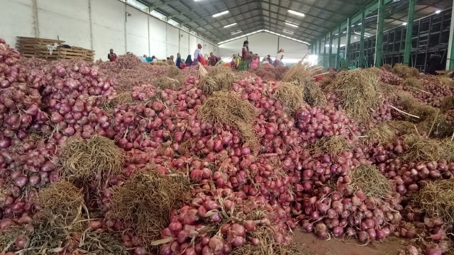 cara menyimpan bawang merah biar awet