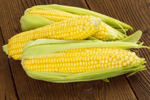 Jenis-Jenis Jagung