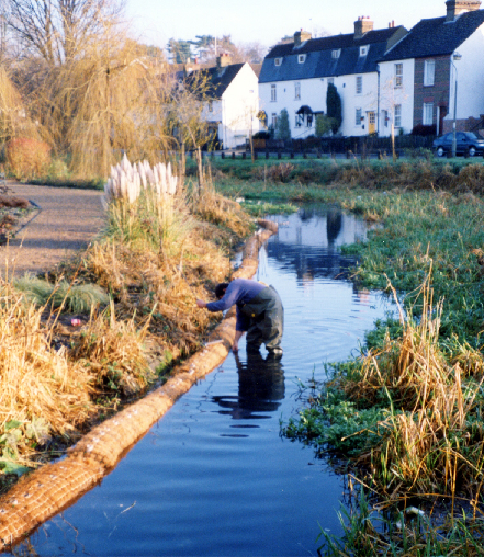 coir roll matting