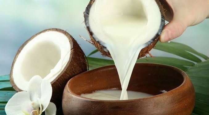Usaha Parut Kelapa Santan