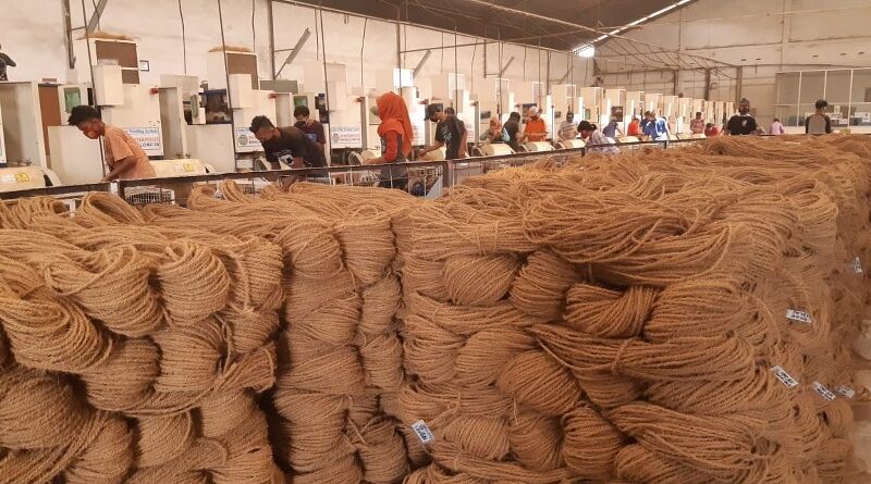 cocofiber d cocopeat