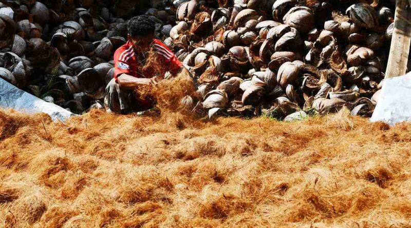 Coconut Fiber Uses