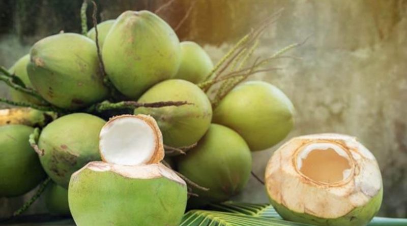 ide bisnis olahan kelapa