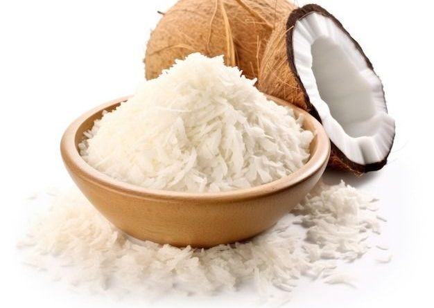 Usaha Jual Kelapa parut