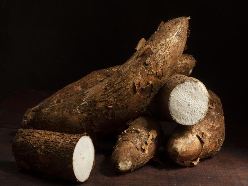 penyimpanan makanan