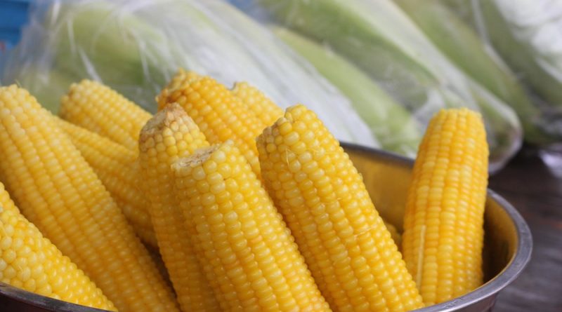 Alat Pemipil Jagung Modern