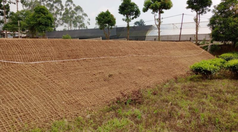 Manfaat Cocomesh untuk Menahan Erosi di Tanah Kering