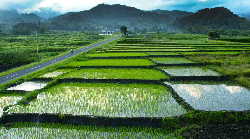 traktor mini pembajak lahan