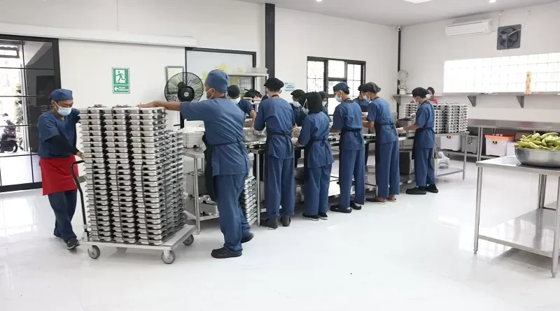 dampak mbg terhadap pekerjaan