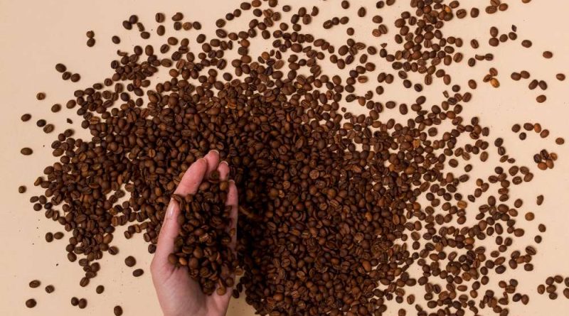 cara gunakan mesin sortasi kopi