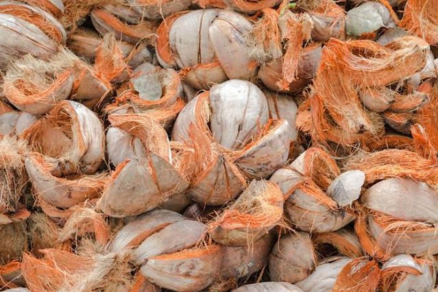 Cocomesh untuk reklamasi lahan