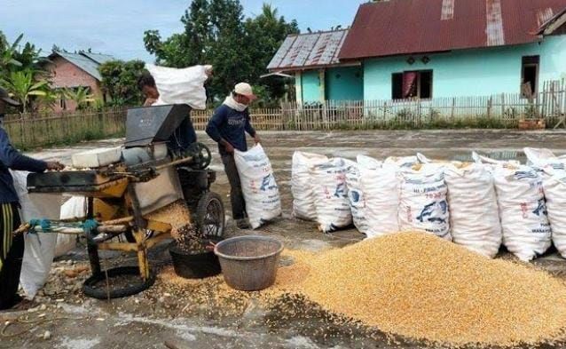 jasa penggilingan padi