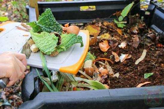 Cara Membuat Kompos dari Sampah Organik