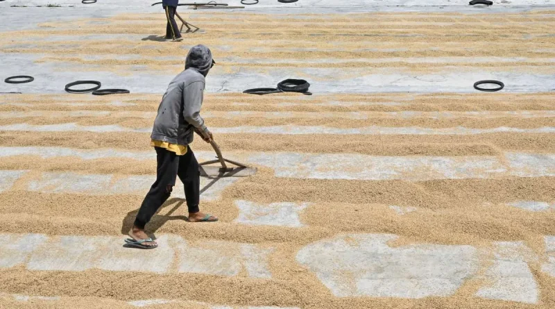 cara meningkatkan kapasitas produksi usaha tani