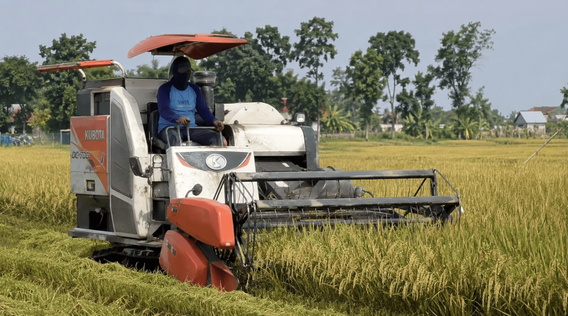 cara memilih alat pemotong padi