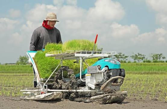 Rice Transplanter 4 Baris